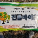 영동바이오 주식회사