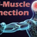 머슬마인드짐 이미지