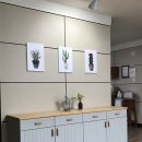 파미르팜 | 홈앤가구 파미르 민트 원목 높은거실장 배송후기