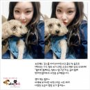 밤비 - 부안군 시장1길 6-8 | 밤비