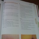 산약초와 산행 이미지