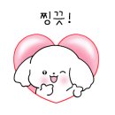 해피애견타운 분당판교점 이미지