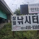 달월 낚시터 | 시흥 달월낚시터 다녀온 솔직 후기!! 깊은 수심, 강력한 붕어 힘, 그리고 파리와의 전쟁까지 ( 마전...