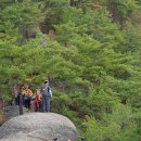 단양 마중 이미지