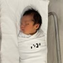 대전을지대학교병원 | 대전 을지대학교병원 근성 사경 치료 (1개월부터 4개월)- 사경 물리치료 시작, 스트레칭 배우기