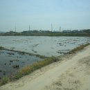 원정6리마을회관 이미지