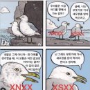 연탄통갈매기 이미지