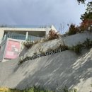 부산 기장 대변항 카페 제이엠커피로스터스 부산본점 대형이라 좋았던 내돈내산