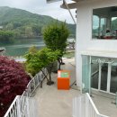 브루다 양주 이미지