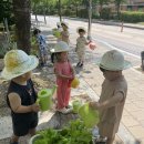 텃밭에 식물들이 많이 자랐어요~(자연탐구/6-2) 이미지