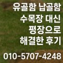 평장 | 유골함 납골함 수목장 대신 평장으로 해결한 후기