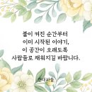 흥국생명보험 남대문5호 별관 | 중구 260301~260315 신규 일반음식점 정보｜식당전문 현대파출