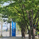 신안카서비스 이미지