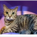 아이조아요양보호소 대구점 이미지