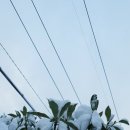 구)울릉중학교 이미지