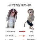 딩굴댕굴 이미지
