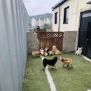 개랑와바 티스토리