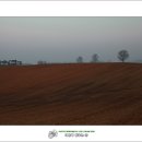 새벽목장 이미지