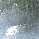 [날씨] 내일∼모레, 남부·제주도에 또 폭우...최고 150mm↑ 이미지