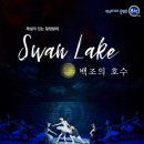 해설이 있는 발레 <백조의 호수> 이미지