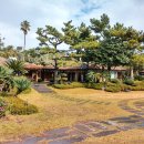 겔랑제주 스테이 | 2025년 제주도숙소 추천! 제주도 여행 필수 코스!