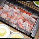 경이로운장어 이미지