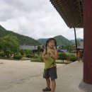 수리덤캠핑장 이미지