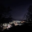 엄광산임도 Daum카페