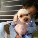 이마트24 방화역점 이미지