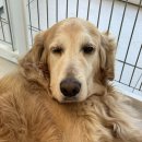 무병짱수 이미지