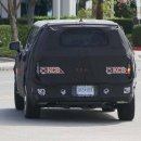 개뼈다구 이미지