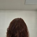 하쏘 하양점 이미지