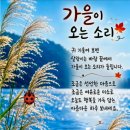 노년유정(老年有情) 이미지