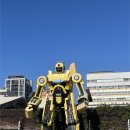 길愛 예술- 자전거 | 대만 가오슝 3박 4일 여행 후기(2일차-1/보얼예술특구/치진섬/자전거대여/루이펑야시장)