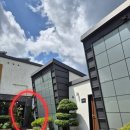 경남 하동 펜션 숙소 후기 &#39;하동 클라우드힐 펜션&#39; _계곡 물놀이(내돈내산)