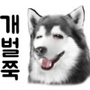 지니펫살롱 이미지