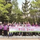 안민청솔마을도서관 이미지