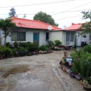 표선가시리민박 이미지