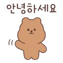 샌디102 이미지