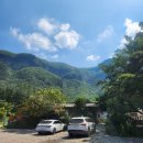 나리촌식당 | 울릉도 여행 맛집 나리촌식당 산채비빔밥 더덕파전 솔직 후기