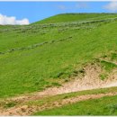 너른초원 이미지