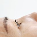 판교 분당 속눈썹 펌 초이뷰티 후기 기간 가격 정보 포함