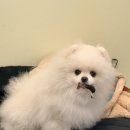 까까뭐멍냥