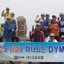 (주)디와이엠