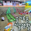 슬기어린이집 | 광주근교 담양 어린이집 원내 사계절 농사 체험행사 &#34;슬기로운 시골생활&#34; 찾아오는 딸기체험