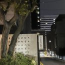 W6. 피아스튜디오 촬영+꼼나나 메이크업+소공 헤어변형 솔직후기(+준비물리스트, 내돈내산!)