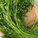 미나리슈퍼 이미지