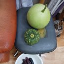 영남이용소 이미지