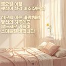 10월 17일(토) 곰탕과 설렁탕 차이는 뭘까? 이미지
