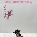 포에버위드유 이미지